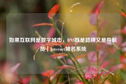 如果互联网是数字城市,DNS既是路牌又是导航员|Internet域名系统