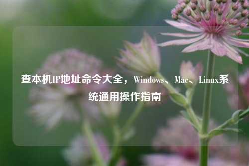 查本机IP地址命令大全,Windows、Mac、Linux系统通用操作指南