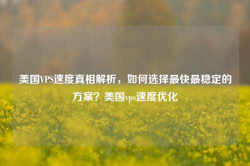 美国VPS速度真相解析，如何选择最快最稳定的方案？美国vps速度优化