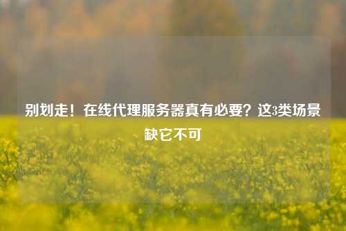 别划走！在线代理服务器真有必要？这3类场景缺它不可