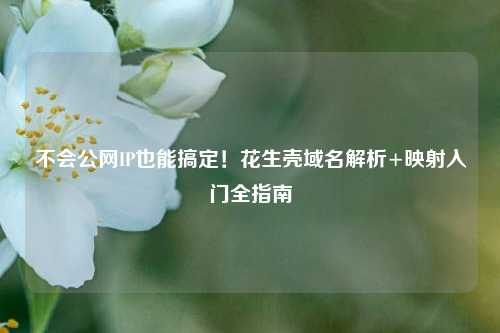 不会公网IP也能搞定!花生壳域名解析+映射入门全指南