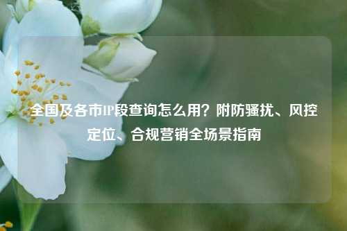 全国及各市IP段查询怎么用?附防骚扰、风控定位、合规营销全场景指南