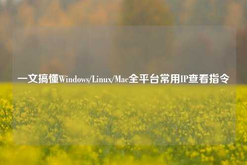 一文搞懂Windows/Linux/Mac全平台常用IP查看指令