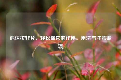 他达拉非片，轻松懂它的作用、用法与注意事项