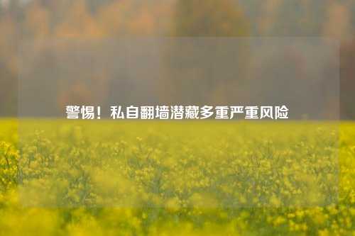 警惕!私自翻墙潜藏多重严重风险