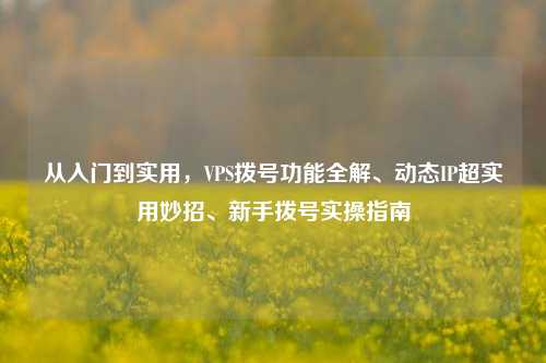 从入门到实用,VPS拨号功能全解、动态IP超实用妙招、新手拨号实操指南