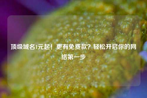 顶级域名1元起！更有免费款？轻松开启你的网络第一步