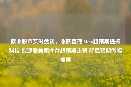 欧洲股市实时盘初，涨跌互现 Meta超预期提振科技 能源股美国库存超预期走弱 降息预期微幅摇摆