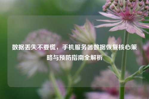 数据丢失不要慌，手机服务器数据恢复核心策略与预防指南全解析
