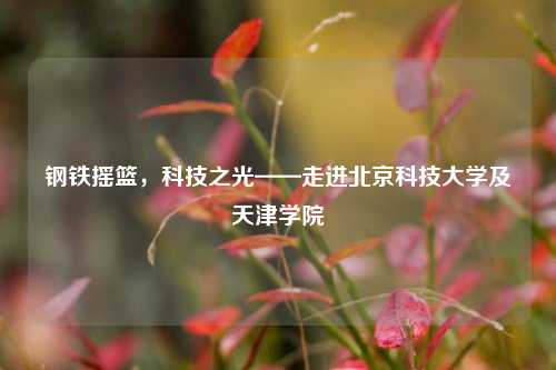 钢铁摇篮,科技之光——走进北京科技大学及天津学院