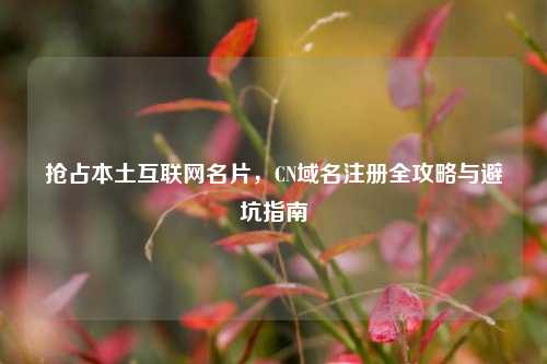 抢占本土互联网名片，CN域名注册全攻略与避坑指南