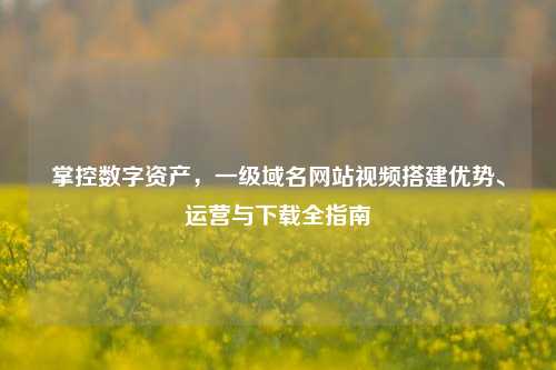 掌控数字资产,一级域名网站视频搭建优势、运营与下载全指南