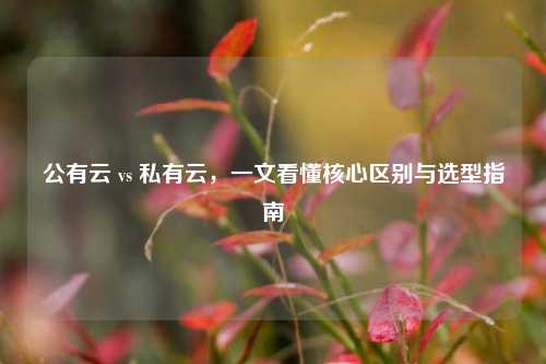 公有云 vs 私有云,一文看懂核心区别与选型指南