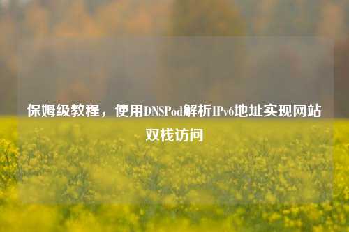 保姆级教程,使用DNSPod解析IPv6地址实现网站双栈访问