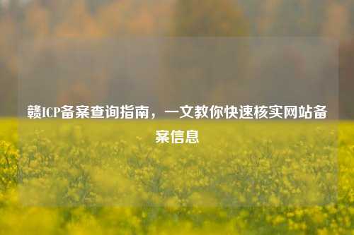 赣ICP备案查询指南,一文教你快速核实网站备案信息