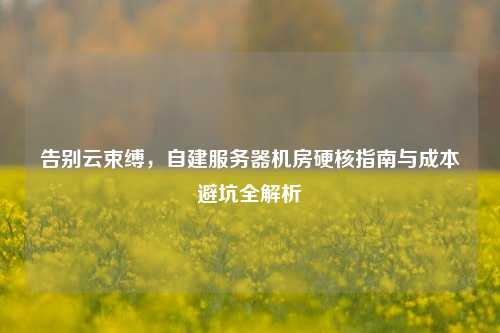告别云束缚,自建服务器机房硬核指南与成本避坑全解析