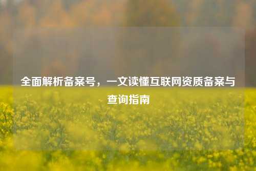 全面解析备案号,一文读懂互联网资质备案与查询指南