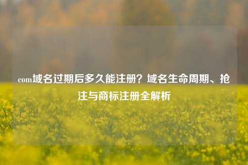 com域名过期后多久能注册？域名生命周期、抢注与商标注册全解析