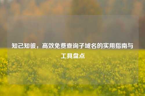 知己知彼，高效免费查询子域名的实用指南与工具盘点