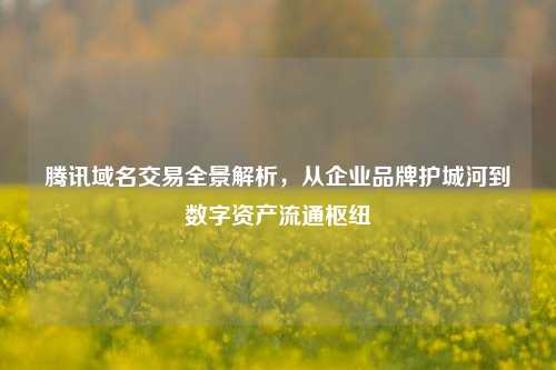 腾讯域名交易全景解析，从企业品牌护城河到数字资产流通枢纽