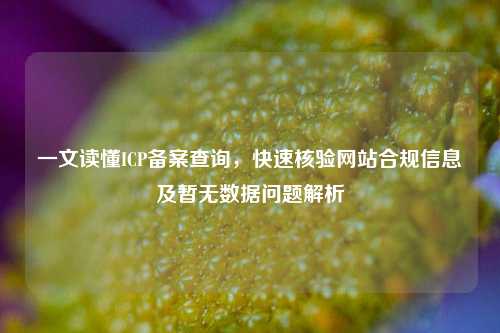 一文读懂ICP备案查询,快速核验网站合规信息及暂无数据问题解析