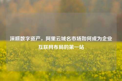 深耕数字资产,阿里云域名市场如何成为企业互联网布局的第一站