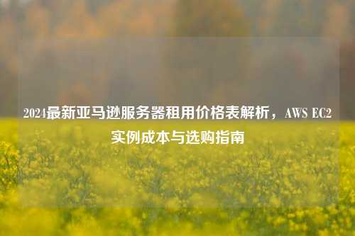 2024最新亚马逊服务器租用价格表解析，AWS EC2实例成本与选购指南