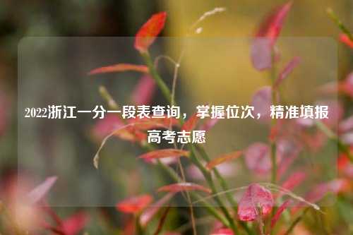 2022浙江一分一段表查询，掌握位次，精准填报高考志愿