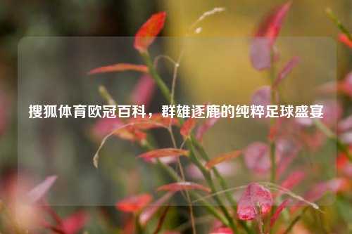 搜狐体育欧冠百科，群雄逐鹿的纯粹足球盛宴