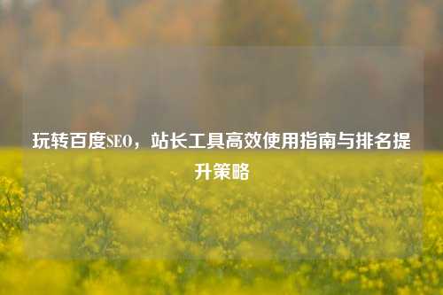 玩转百度SEO,站长工具高效使用指南与排名提升策略