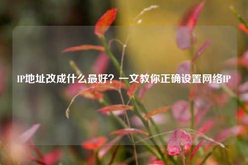 IP地址改成什么最好?一文教你正确设置网络IP