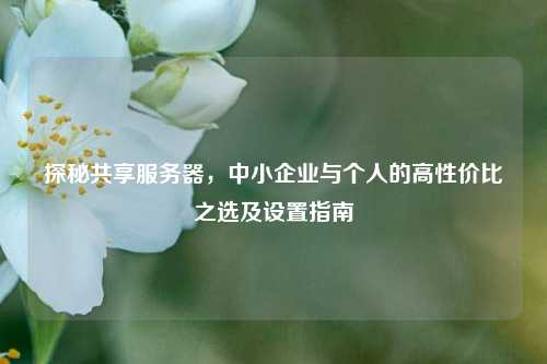 探秘共享服务器,中小企业与个人的高性价比之选及设置指南