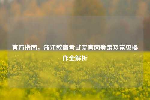 官方指南，浙江教育考试院官网登录及常见操作全解析