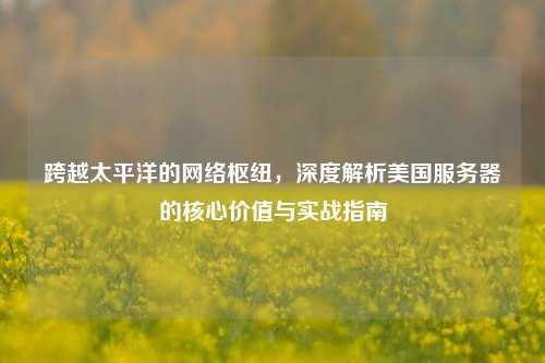 跨越太平洋的网络枢纽,深度解析美国服务器的核心价值与实战指南
