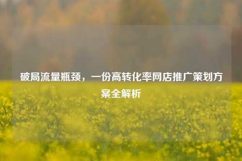 破局流量瓶颈，一份高转化率网店推广策划方案全解析