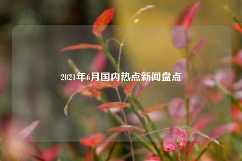 2021年6月国内热点新闻盘点