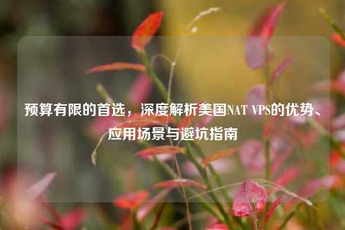 预算有限的首选,深度解析美国NAT VPS的优势、应用场景与避坑指南