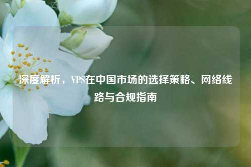 深度解析,VPS在中国市场的选择策略、网络线路与合规指南