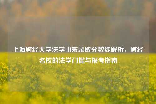 上海财经大学法学山东录取分数线解析,财经名校的法学门槛与报考指南