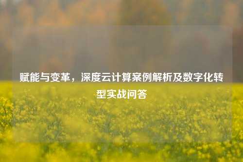 赋能与变革,深度云计算案例解析及数字化转型实战问答