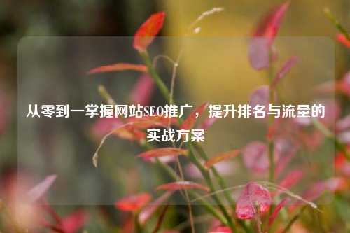 从零到一掌握网站SEO推广，提升排名与流量的实战方案