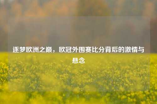 逐梦欧洲之巅，欧冠外围赛比分背后的激情与悬念