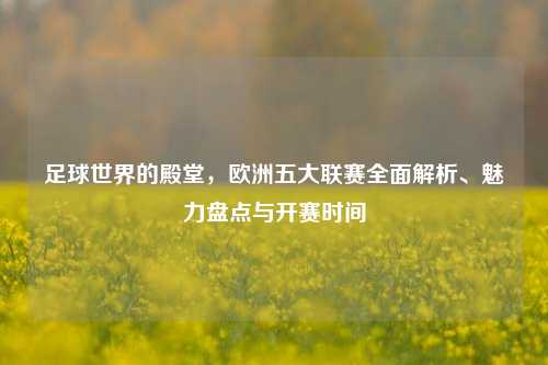 足球世界的殿堂，欧洲五大联赛全面解析、魅力盘点与开赛时间