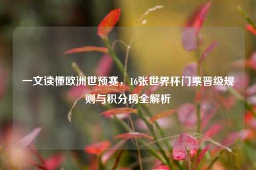 一文读懂欧洲世预赛，16张世界杯门票晋级规则与积分榜全解析