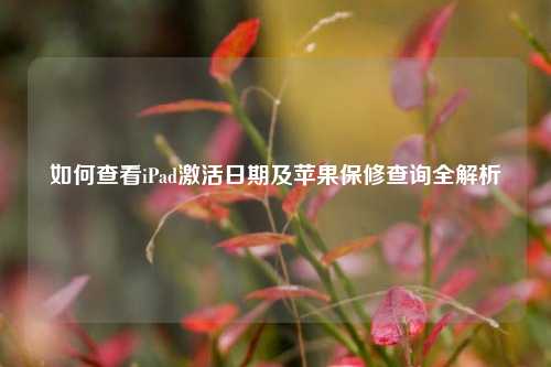 如何查看iPad激活日期及苹果保修查询全解析