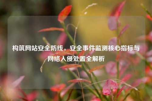 构筑网站安全防线，安全事件监测核心指标与网络入侵处置全解析
