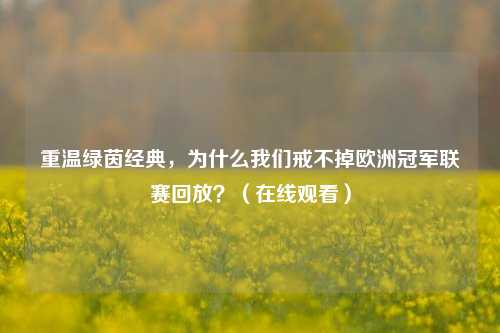 重温绿茵经典，为什么我们戒不掉欧洲冠军联赛回放？（在线观看）