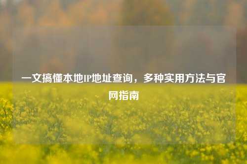 一文搞懂本地IP地址查询，多种实用方法与官网指南
