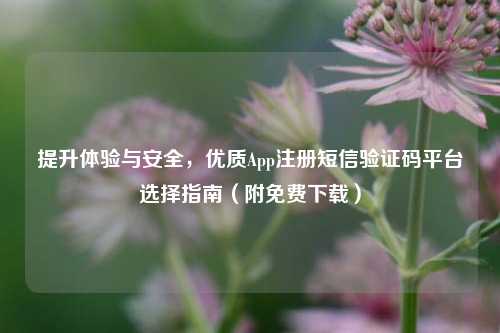 提升体验与安全，优质App注册短信验证码平台选择指南（附免费下载）