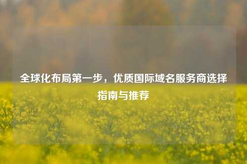 全球化布局第一步，优质国际域名服务商选择指南与推荐